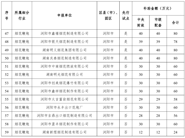 【項目公示】關于長沙市中小企業數字化轉型城市試點首批試點補助項目的公示